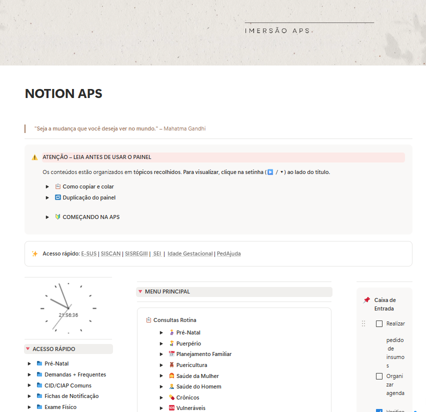 Notion APS · Painel