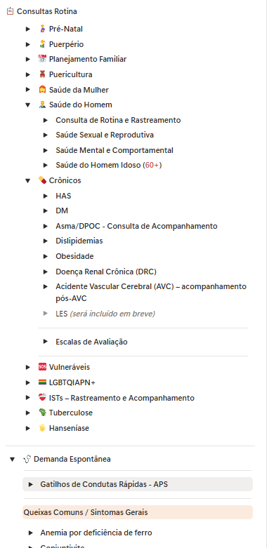 Notion APS · Consultas
